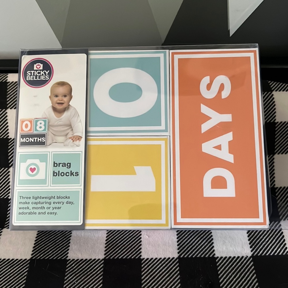 Brag Blocks milestone picture blocks